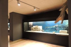 proyectos de iluminación en museos