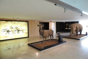 Iluminación en Museo